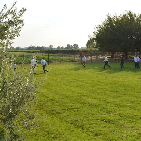 Agriturismo Al Casale ลูนิโก ภายนอก รูปภาพ